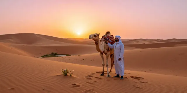 Immersive scene of best morocco tours in the Sahara Desert at sunset.